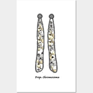 Prop Chromosome Posters and Art